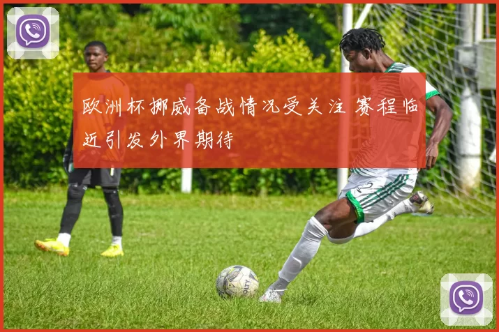 欧洲杯挪威备战情况受关注 赛程临近引发外界期待