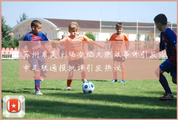 苏州东吴主场冷焰火燃放事件引发中足联通报批评引发热议