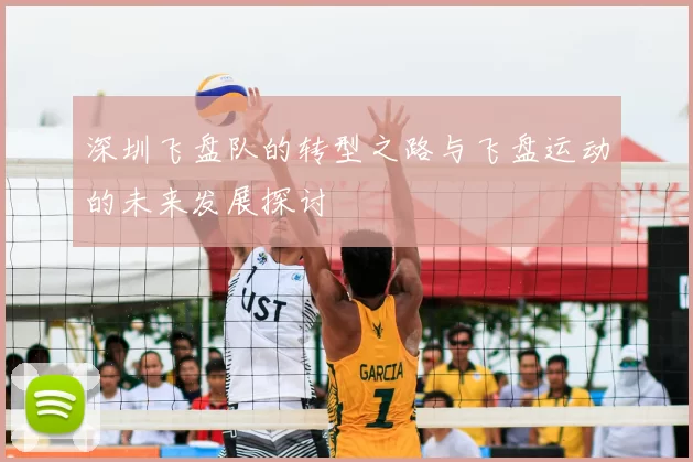深圳飞盘队的转型之路与飞盘运动的未来发展探讨