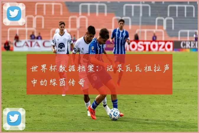 世界杯数据档案：记录瓦瓦祖拉声中的绿茵传奇