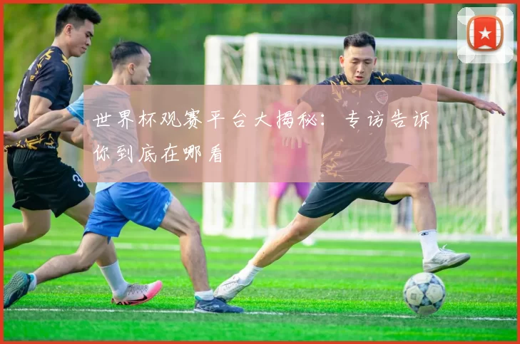 世界杯观赛平台大揭秘：专访告诉你到底在哪看