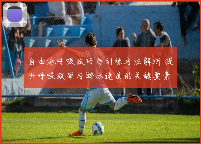 自由泳呼吸技巧与训练方法解析 提升呼吸效率与游泳速度的关键要素
