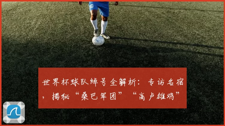 世界杯球队绰号全解析：专访名宿，揭秘“桑巴军团”“高卢雄鸡”等称谓的诞生
