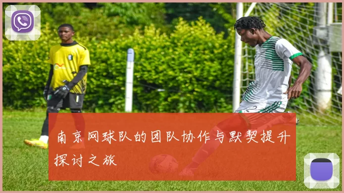 南京网球队的团队协作与默契提升探讨之旅
