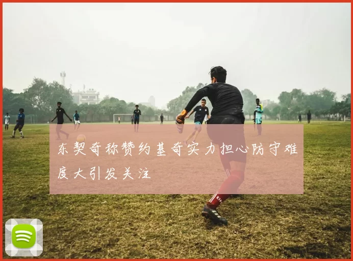 东契奇称赞约基奇实力担心防守难度大引发关注