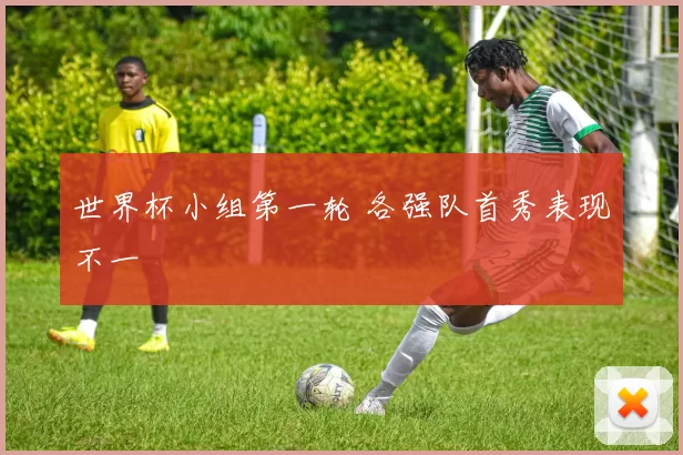 世界杯小组第一轮 各强队首秀表现不一