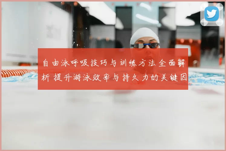 自由泳呼吸技巧与训练方法全面解析 提升游泳效率与持久力的关键因素