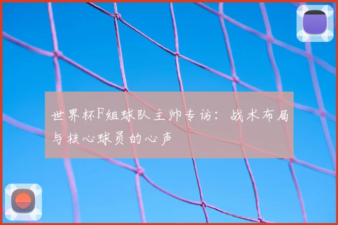 世界杯F组球队主帅专访:战术布局与核心球员的心声