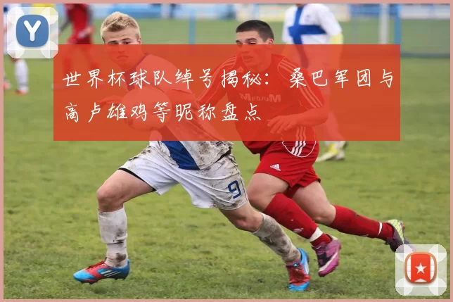世界杯球队绰号揭秘:桑巴军团与高卢雄鸡等昵称盘点