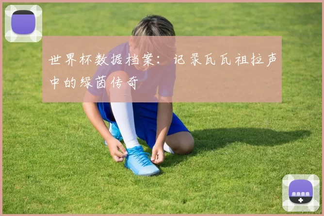 世界杯数据档案:记录瓦瓦祖拉声中的绿茵传奇