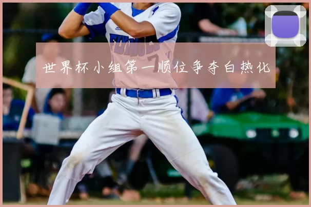 世界杯小组第一顺位争夺白热化
