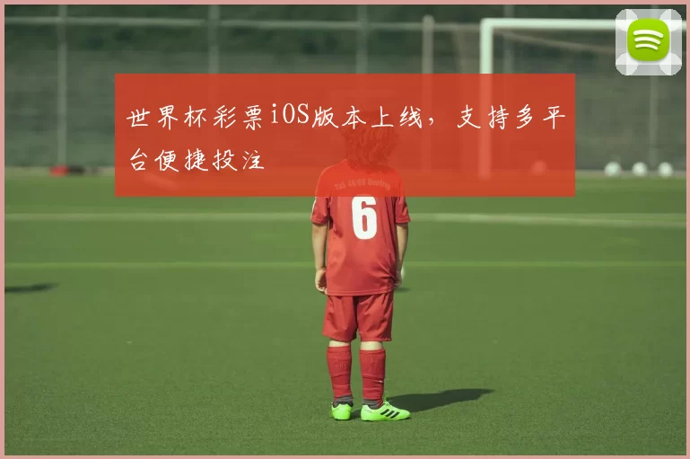 世界杯彩票iOS版本上线，支持多平台便捷投注