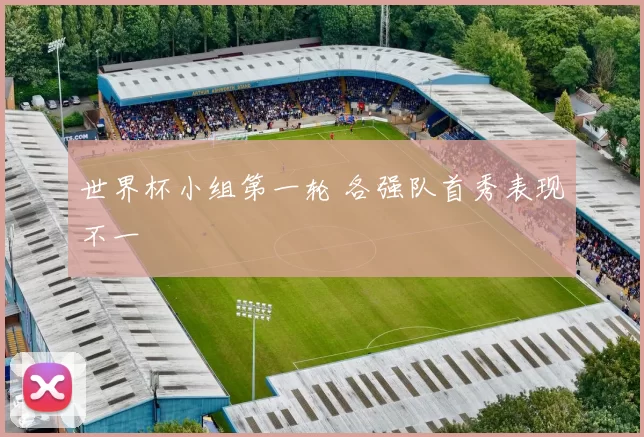 世界杯小组第一轮 各强队首秀表现不一