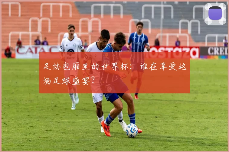 足协包厢里的世界杯:谁在享受这场足球盛宴?