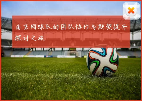 南京网球队的团队协作与默契提升探讨之旅