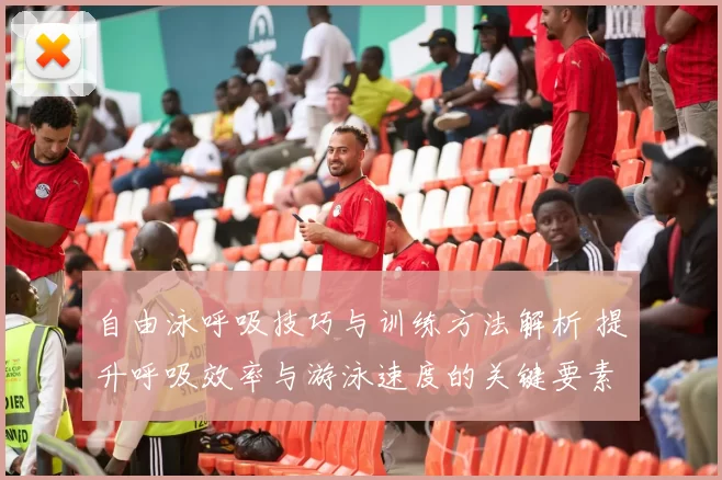 自由泳呼吸技巧与训练方法解析 提升呼吸效率与游泳速度的关键要素